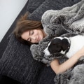 Affordable Dog Blanket Materials and Brands