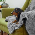 Choosing the Right Dog Blanket for Your Pet