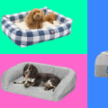 Key Features for Comparing Dog Blankets