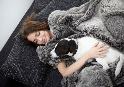 Affordable Dog Blanket Materials and Brands