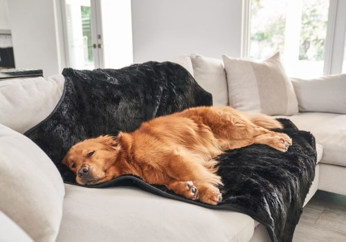 Top-Rated Dog Blankets: Keep Your Furry Friend Warm and Cozy