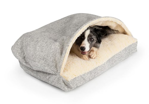 Honest Reviews and Testimonials for Dog Blankets: What Pet Owners Need to Know